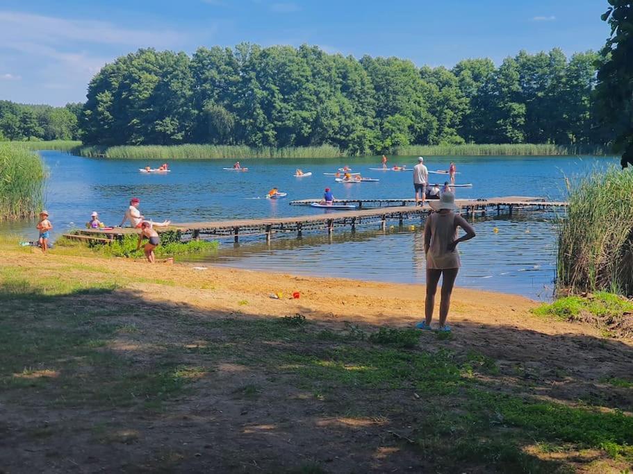 Holenderki Na Zielonych Wzgorzach, Lowyn Екстер'єр фото
